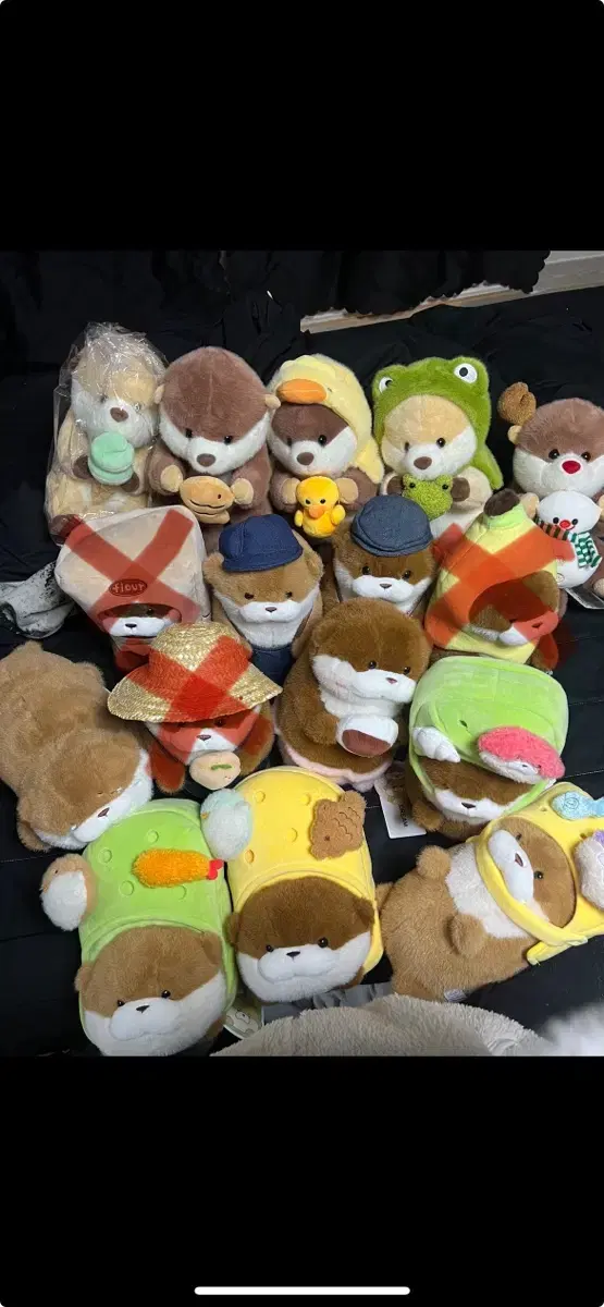 우소우소짱 랏코상 택O