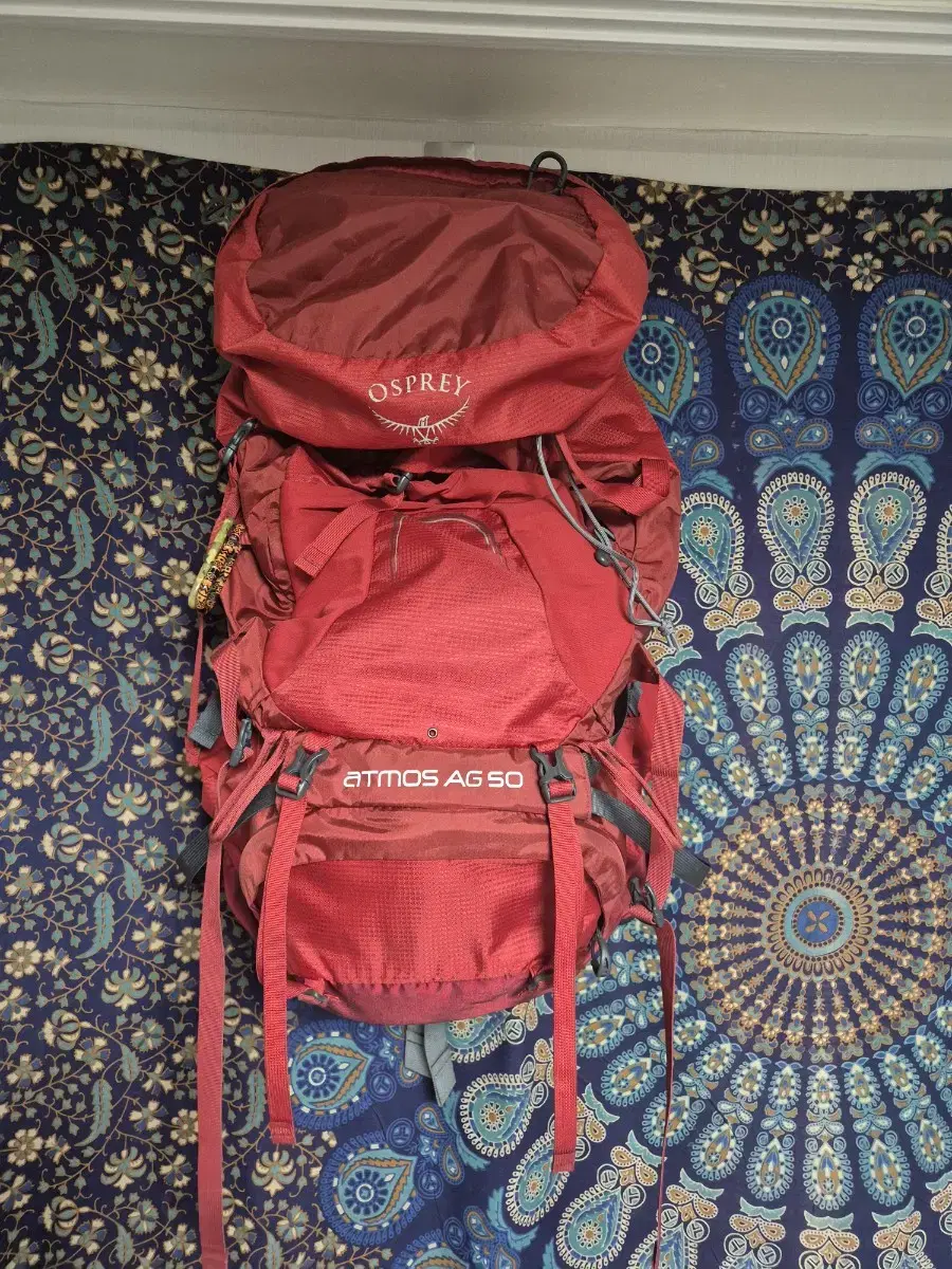 OSPREY ATOMOS AG50