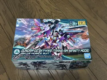 HG 1/144 건담 더블 오스카이 HWS(트랜자임 인피니티 모드)
