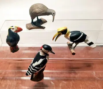 키위, 큰부리새 등 새 피규어 4종 세트