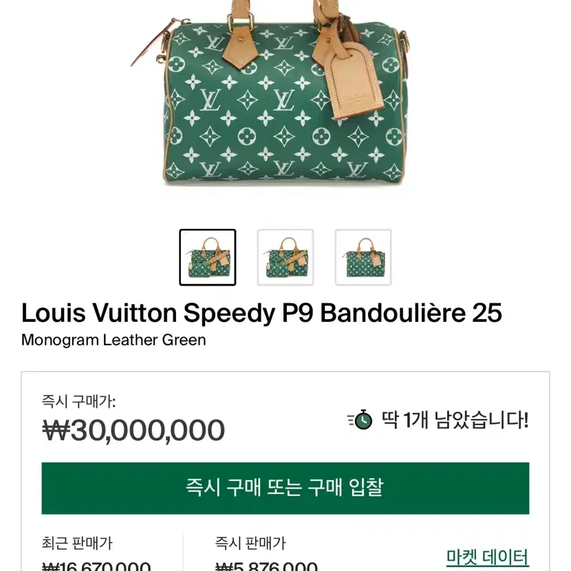 루이비통 Louis Vuitton Speedy P9 스피디 반둘리에 그린 사진 2