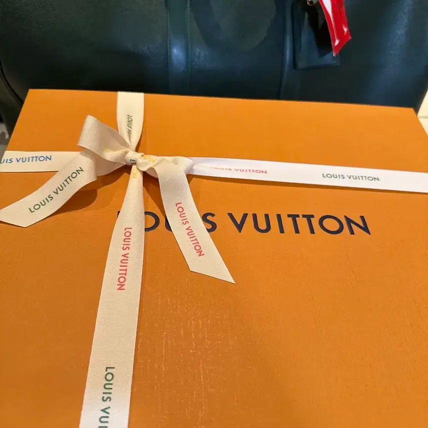 루이비통 Louis Vuitton Speedy P9 스피디 반둘리에 그린 사진 3