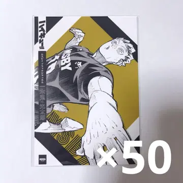 하이큐 보쿠토 코타로 시부야 잭 서점 잭 브로마이드 50장 MSBY