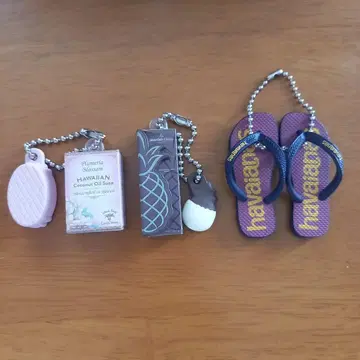 하와이 기념품 미니어처 컬렉션 비누 호놀룰루 쿠키 하와이아나스