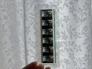 센과 치히로의 행방불명 필름 북마커