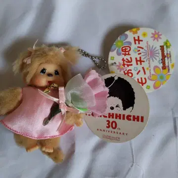 몬치치 꽃밭 키체인 카니지 30th