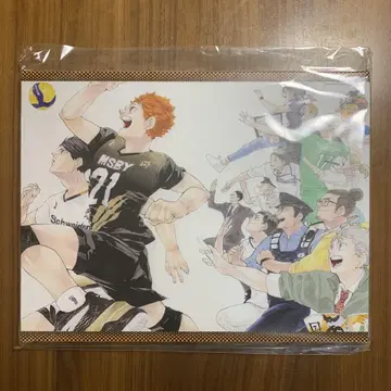 하이큐 풀 컬러 아트보드 BIG 45권 표지