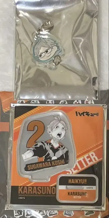 하이큐 점프샵 상하이 아크릴 피규어 지로리 참 스가와라 코시