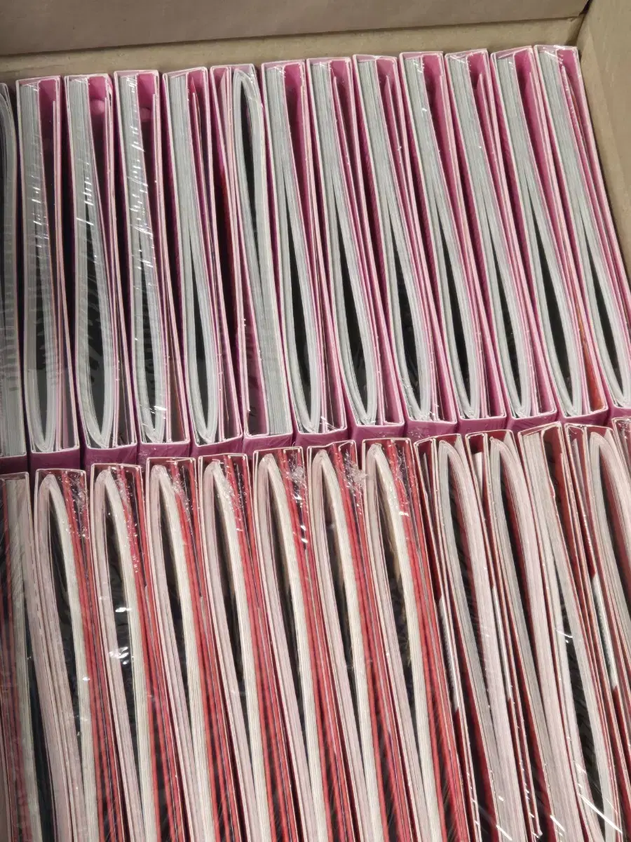 MINNIE'S SOLO ALBUM Her Unsealed