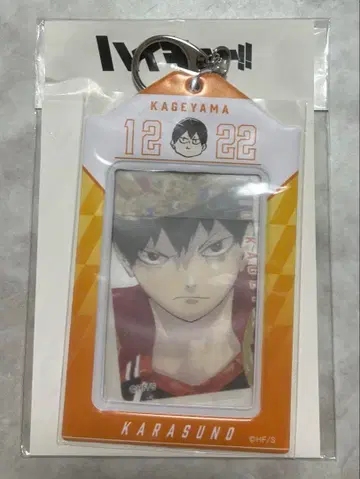 하이큐 카게야마 토비오 생일 카드 홀더 특제 카드 2장 포함 2024년