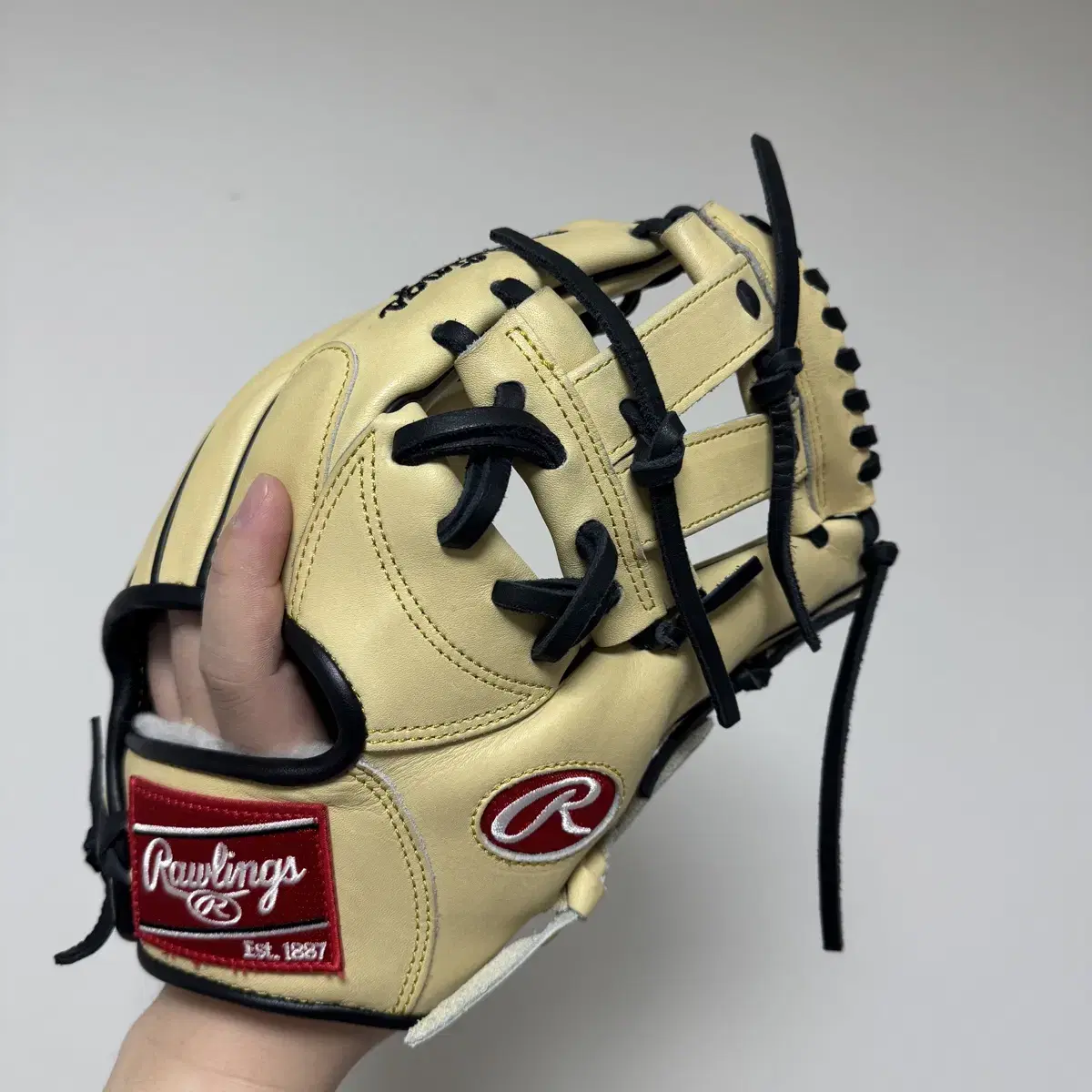 RollingPropridder Machado Game Model