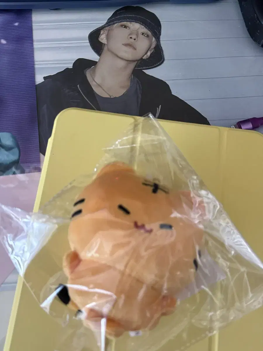 호삐 인형 양도해요