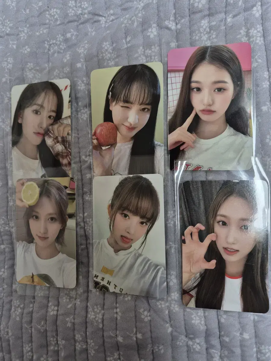 일괄)아이브 2023 시즌그리팅 케타포