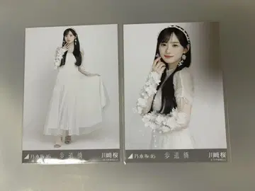 1741. 노기자카46 카와사키 벚꽃 브로마이드 세미 컴프