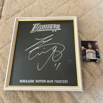 오타니 쇼헤이 사인 색지 액자 카드 포함