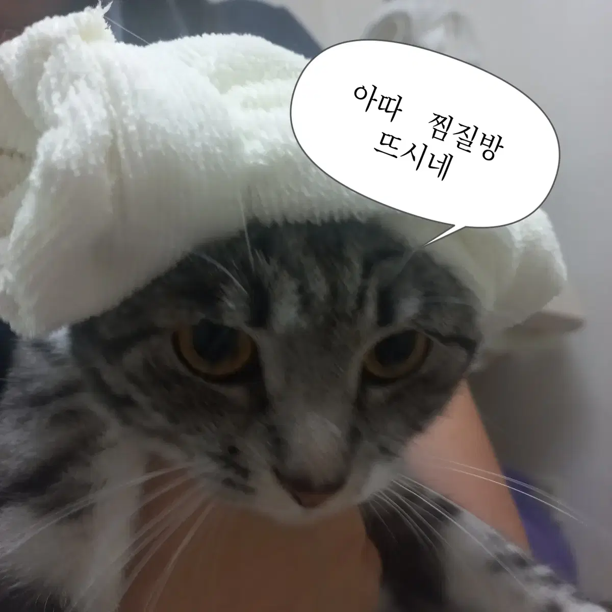 Sell out on Bunjang Global Site. Sell out on Bunjang Global Site.