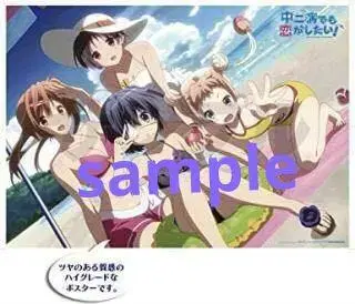 중2병이라도 사랑이 하고 싶어! HG 포스터 [Summertime!]