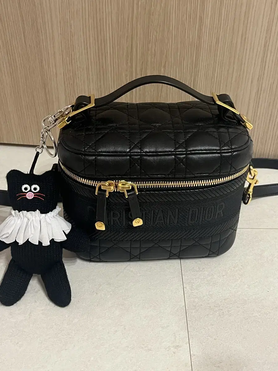 디올베니티백 스몰