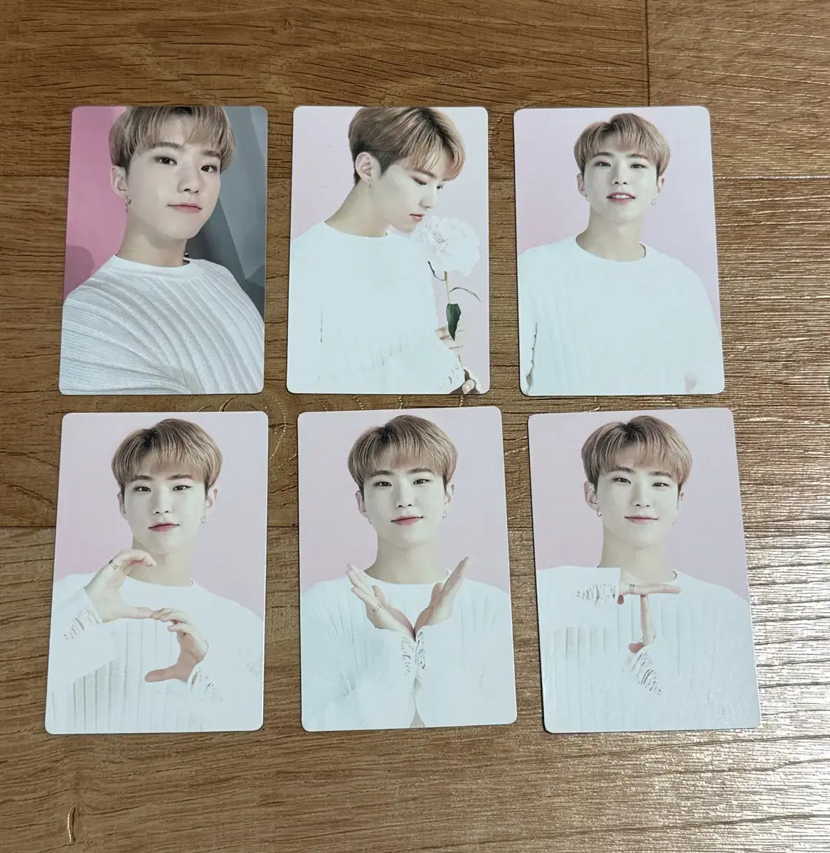 세븐틴 호시 포카 세븐틴카페 트레딩카드 일괄(+덤)