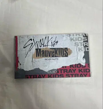스트레이 키즈 흠집 클리오 아이 섀도우 팔레트 101