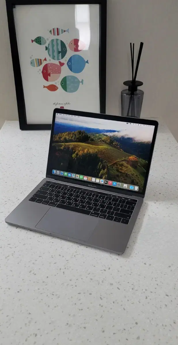 Apple Macbook Pro Touch Bar 2019 16-inch Macbook Pro English keyboard
