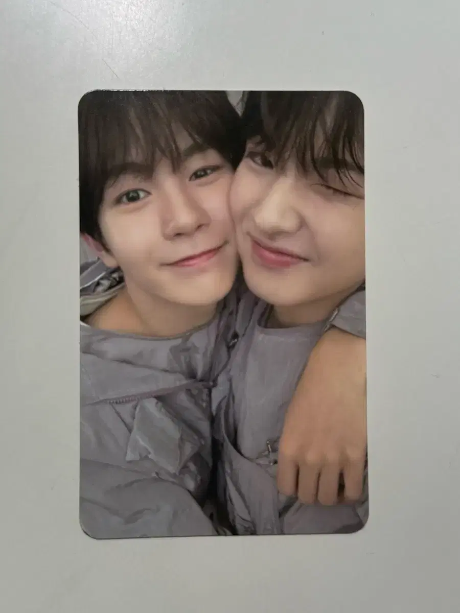 사쿠야 료 송버드 카운트다운라이브 유닛 포카 엔시티 위시