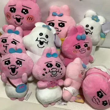 팬티 똥차 똥차 정리 대량