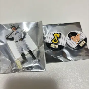 최종 가격 인하 사토 테이메이 2개 세트