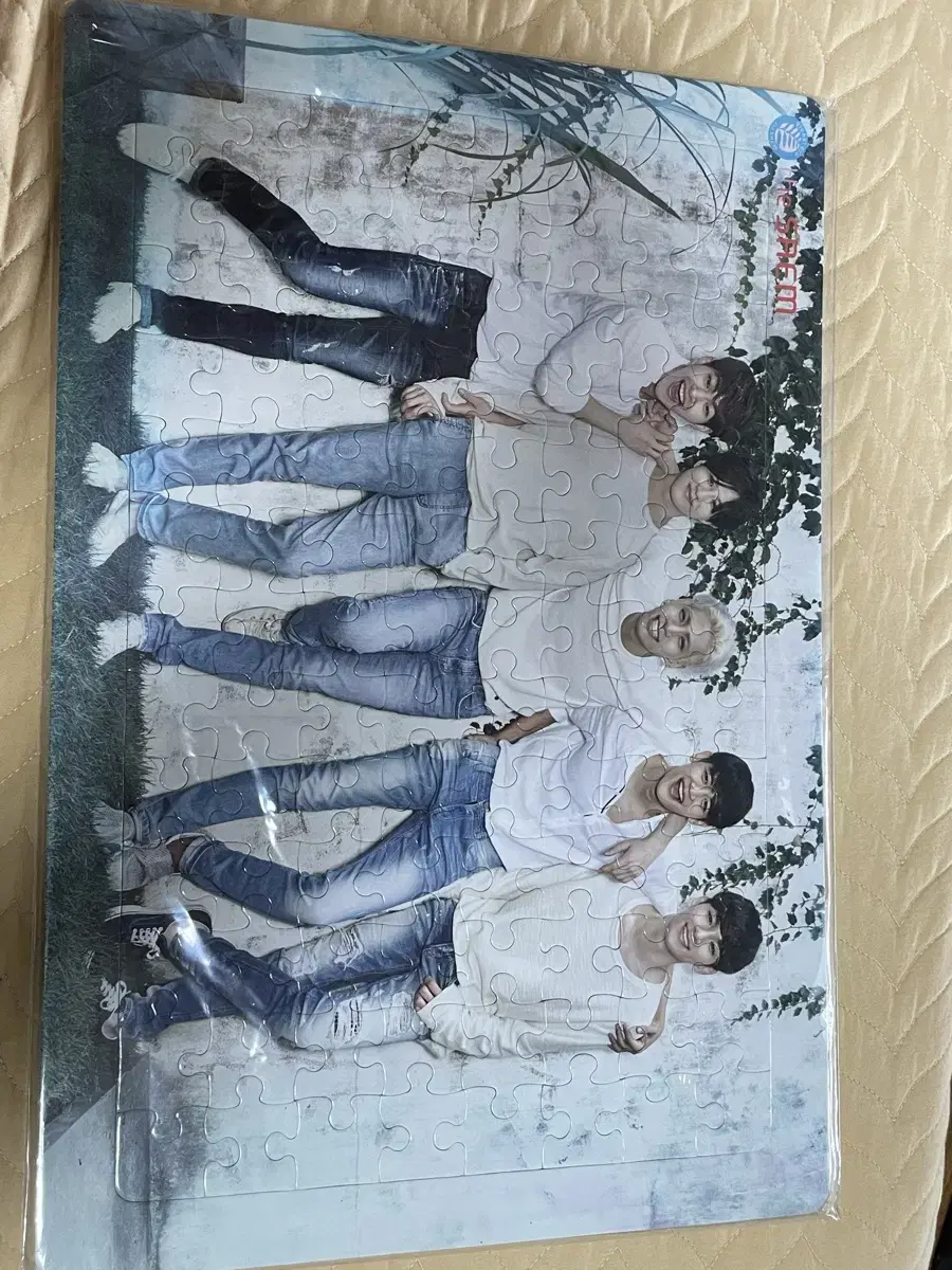 The Saem shinee Puzzle