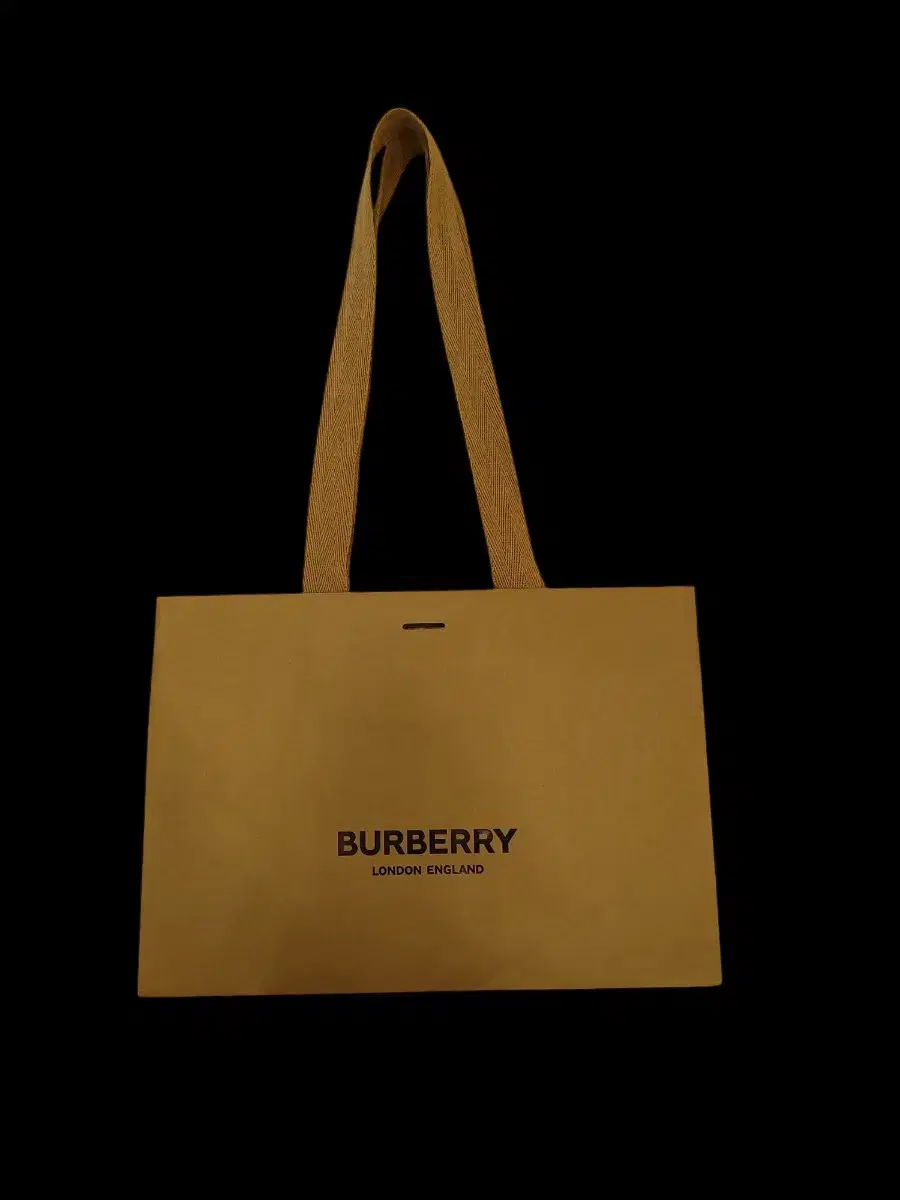 Burberry shopping bag