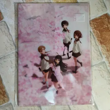 밤하늘의 반짝임 졸업 사진 클리어 파일 및 엽서 세트