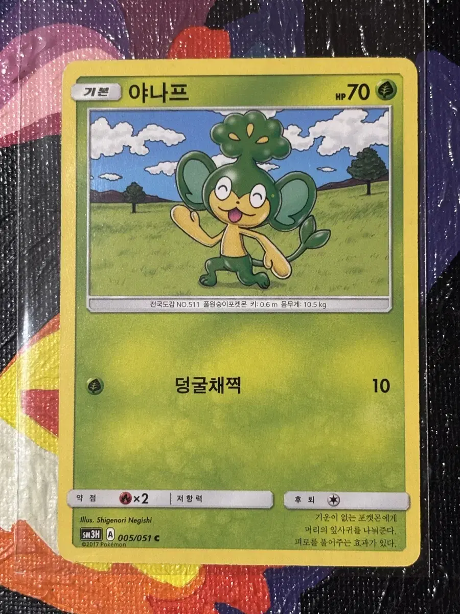 포켓몬스터 야나프 포켓몬 카드 인테리어 소품 7 꾸미기용 포장용