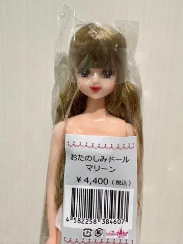 즐거운 인형 마린 리카짱 캐슬