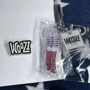 세븐틴 홀리데이 아크릴 키링 핀즈 호시 우지