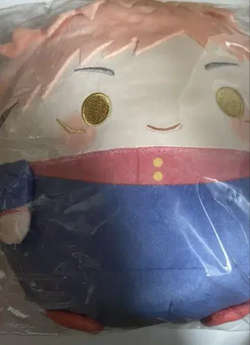 이타도리 유우지 쿠지메이트 주술회전 2 C상 후와코로린 M