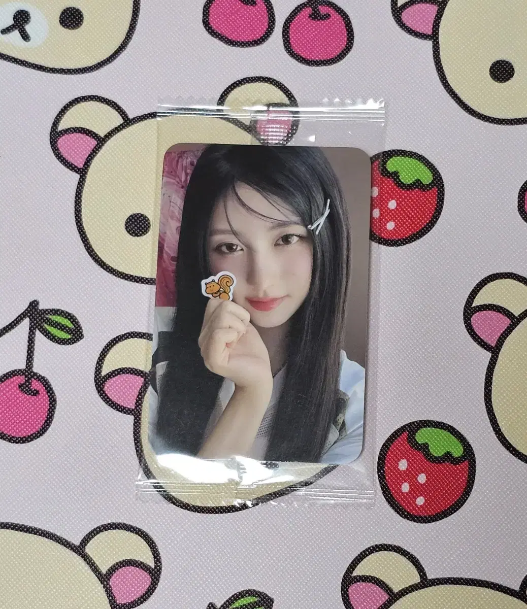 아이브 가을 시그 2025 케타포 특전 미공포 포카 양도