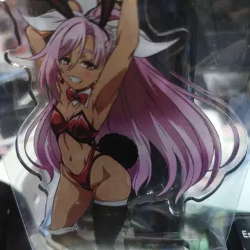 애도하는 망령은 은퇴하고 싶다 리즈 아크릴 스탠드 dmm