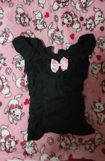 라파페 상의 슬리브리스