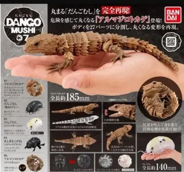 도마뱀 아르마딜로 1대