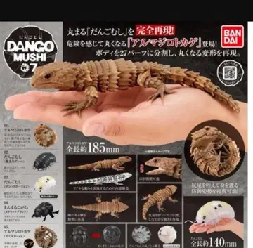 다섯발가락딱정벌레 7단 아르마딜로 도마뱀