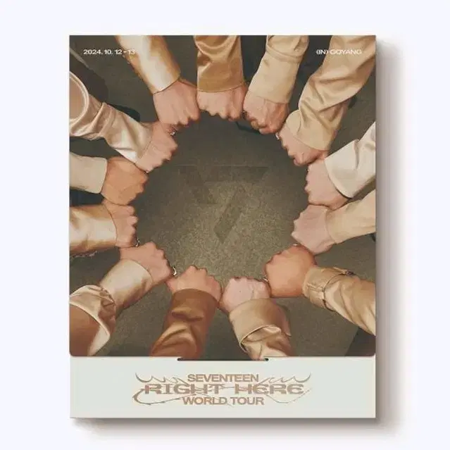 세븐틴 고양콘 라잇히어 DVD 스티커 포카 포토카드 폴라로이드 분철