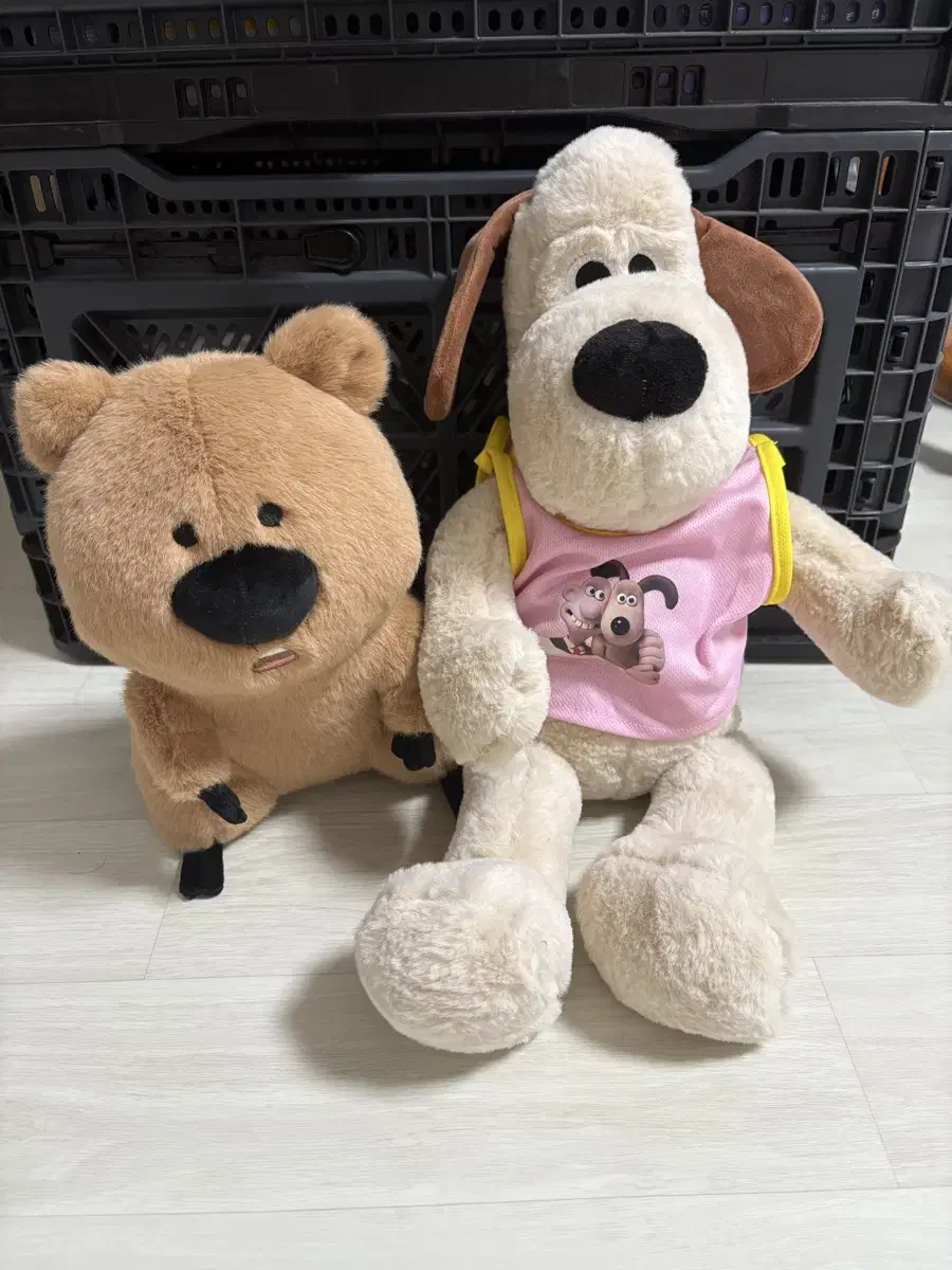 Grommets/Quokka dolls
