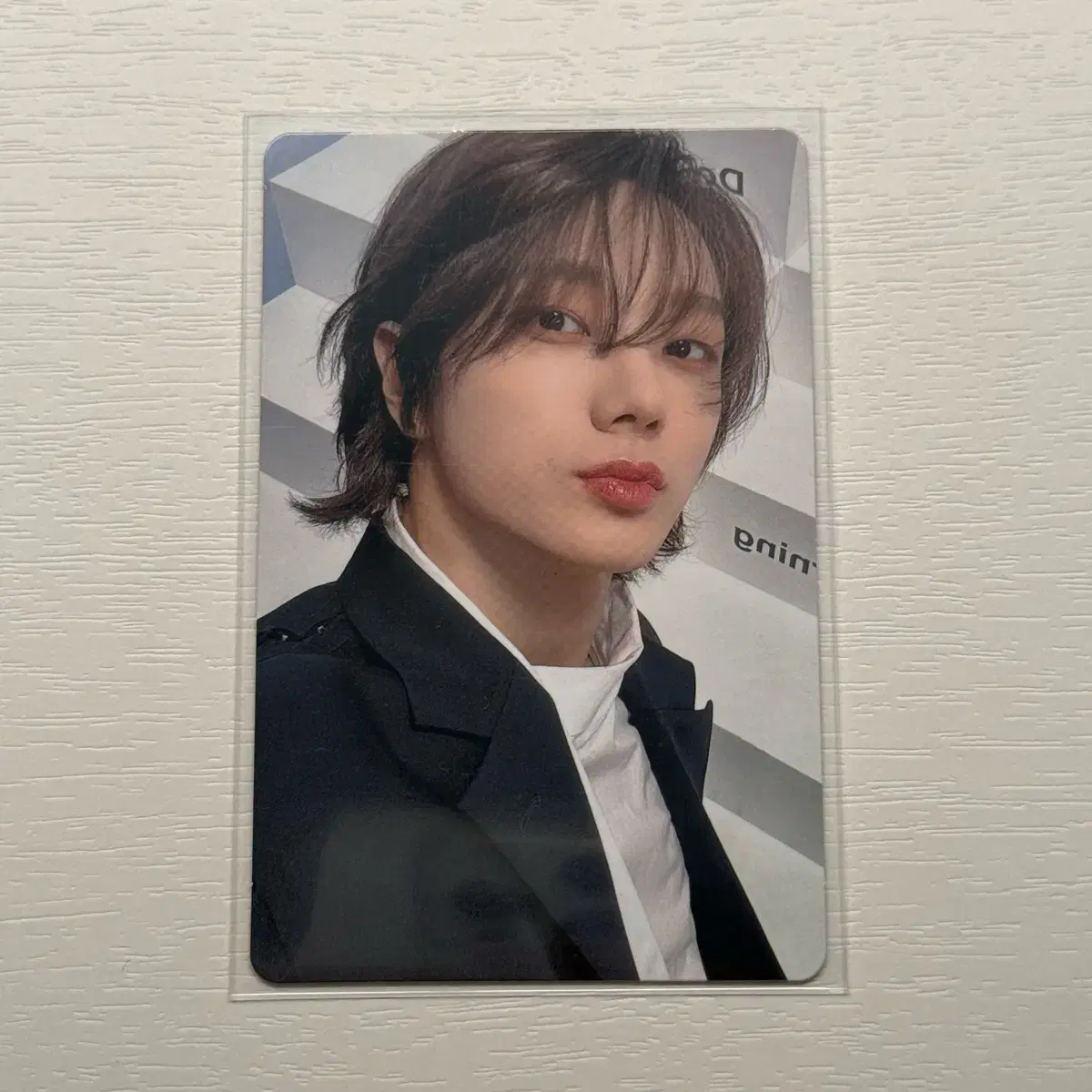 보이넥스트도어 보넥도 19.99 nice guy 성호 앨범 포카