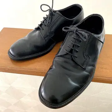 KENFORD 플레인토 24.0