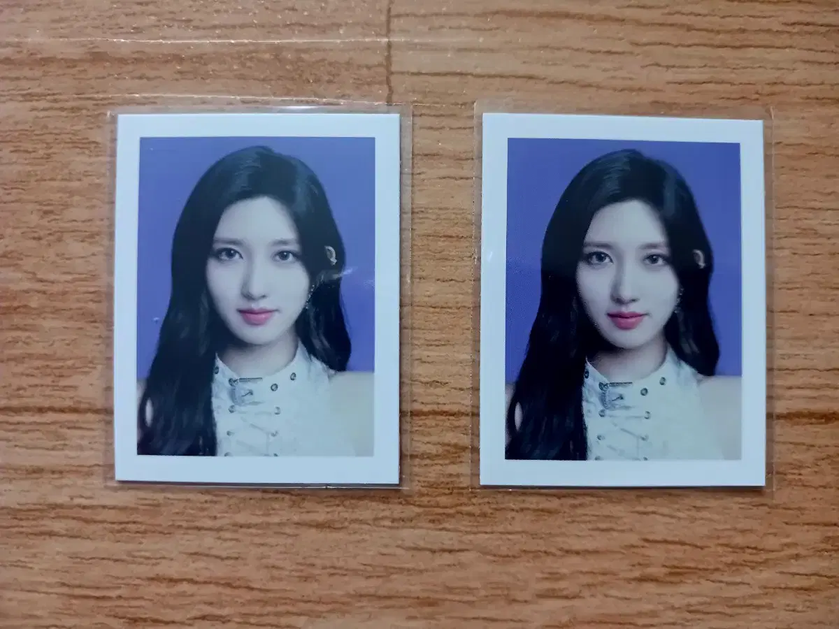 아이브 가을 쇼왓아이해브 증사 증명사진
