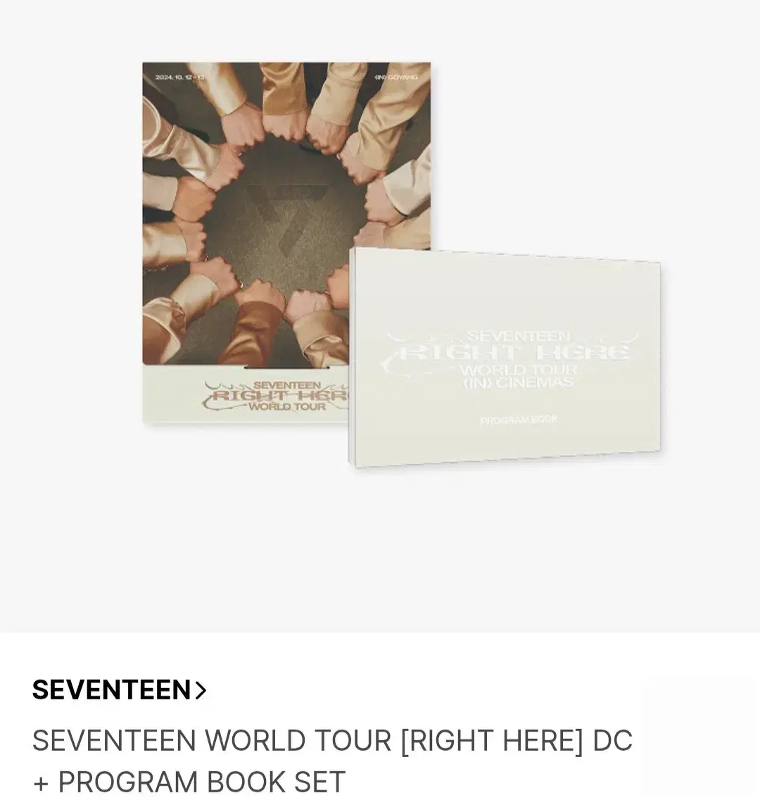세븐틴 라잇히어 분철