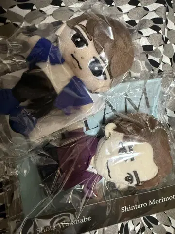 SnowMan i DO ME 스노우맨, 드리보 와타나베 쇼타 봉제 인형