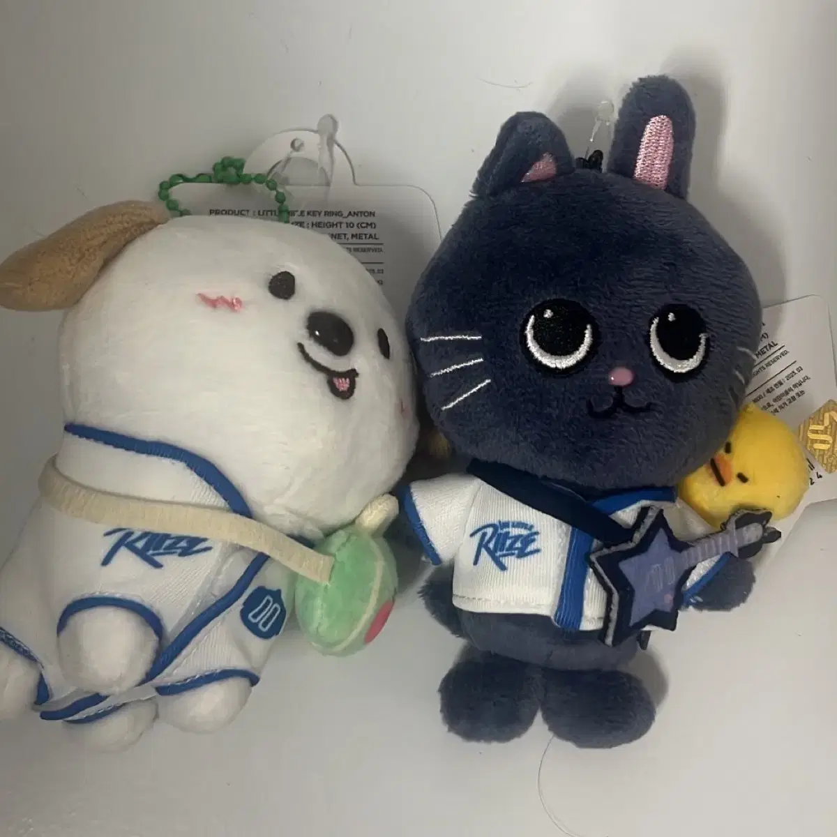 라이즈 리틀 팝업 멍룡이 토냥덕 인형 10cm 자석 앤톤 원빈
