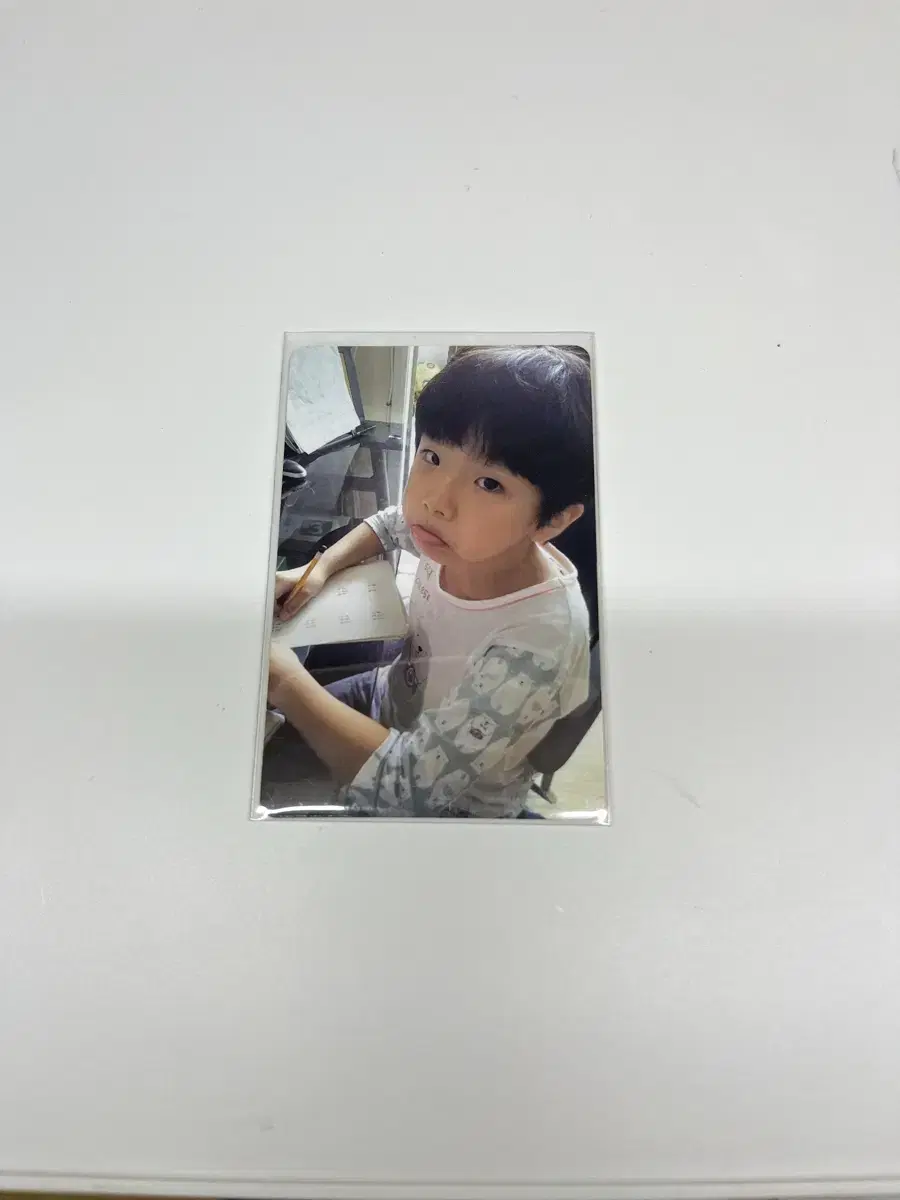 보넥도 애기 포카