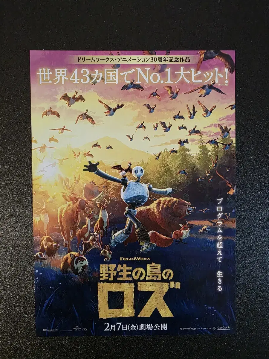 [Movie Pamphlet] Wild Robot C Japan Flyer (2024) DreamWorks Rose